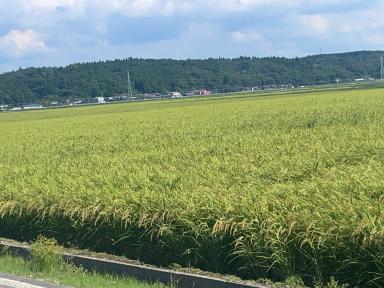 広がる田園風景～