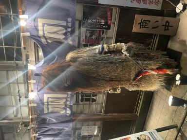 入ってみました～